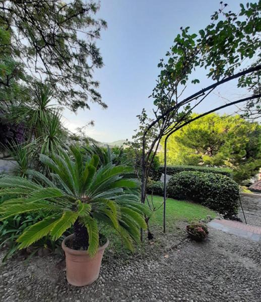 Casa Gazzano Villa Imperia Exterior foto