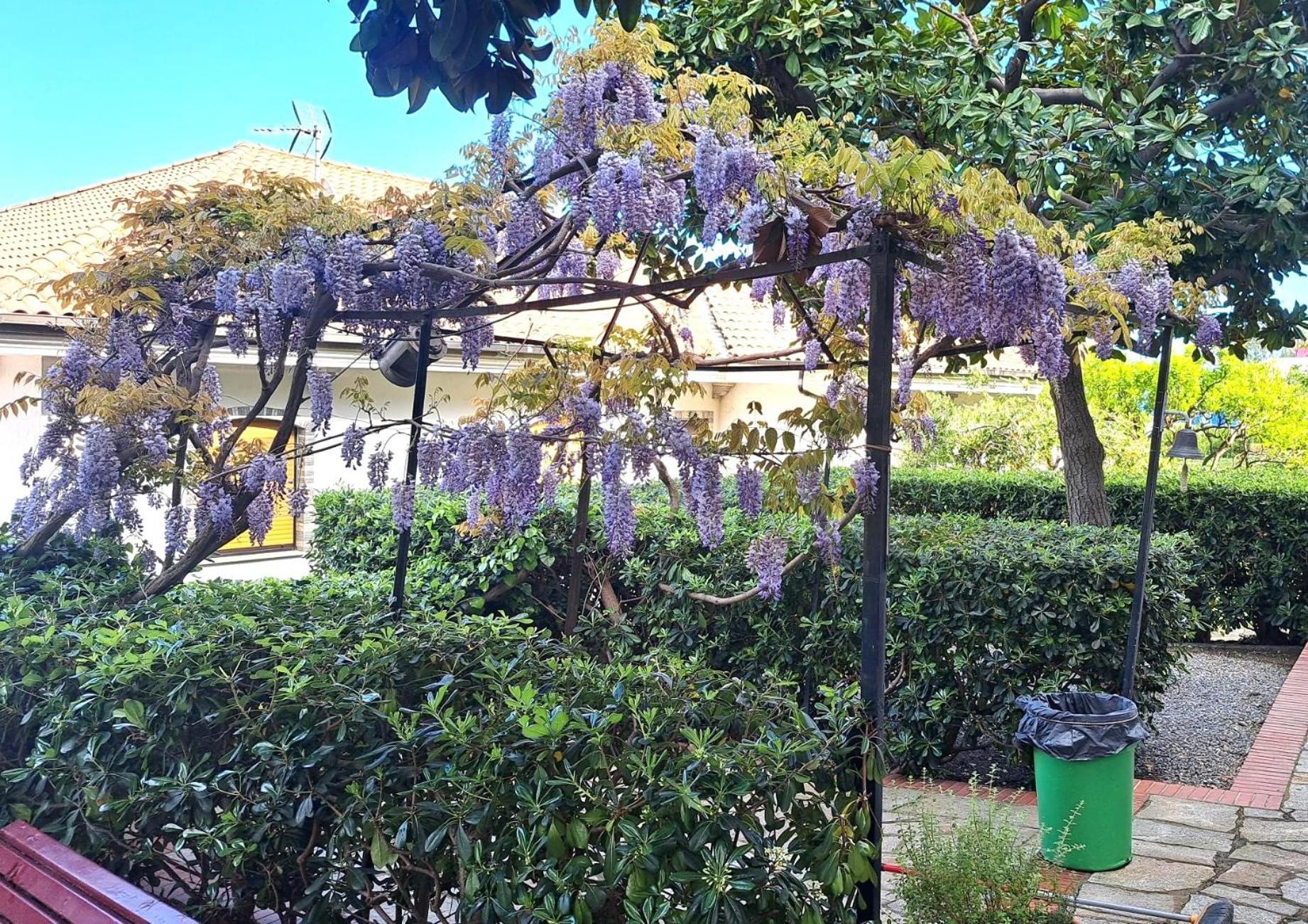 Casa Gazzano Villa Imperia Exterior foto